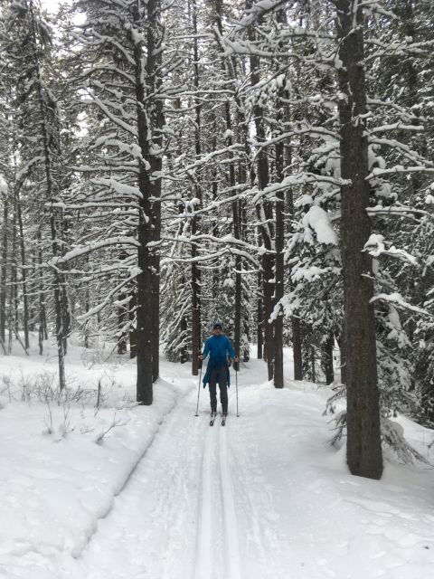 Lake Louise: Cross Country Skiing Lesson with Tour - Morning Lesson: Falling, Gliding, and Stopping With Real Coaching