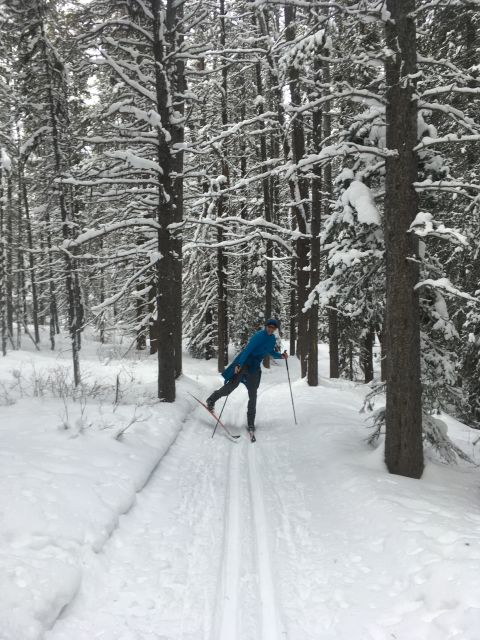 Lake Louise: Cross Country Skiing Lesson with Tour - Afternoon Guided Session: Confidence Over Speed