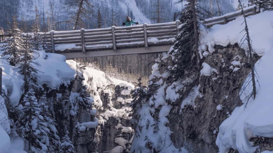 Lake Louise, Moraine, & Emerald: From Calgary/Canmore/Banff - Key things that make this tour worth your time