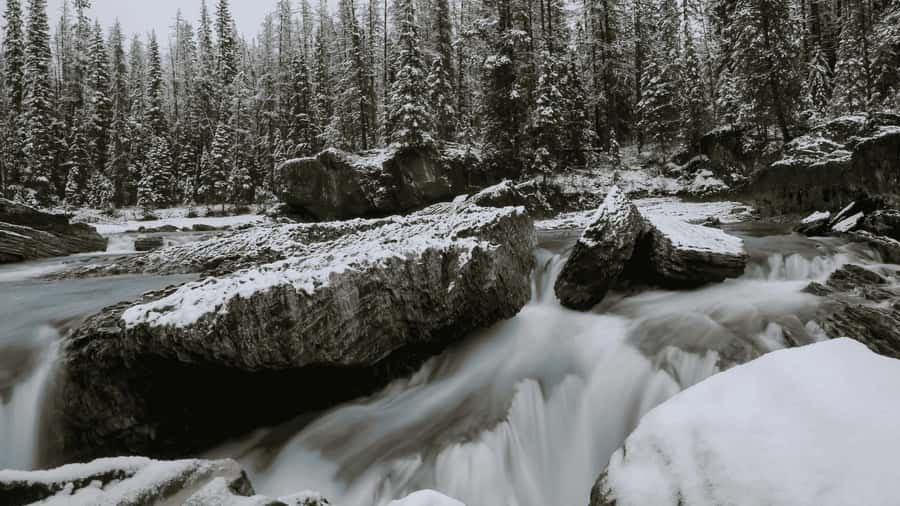 Lake Louise, Moraine, & Emerald: From Calgary/Canmore/Banff - Emerald Lake and Yoho’s Natural Bridge: the calm and the wow factor