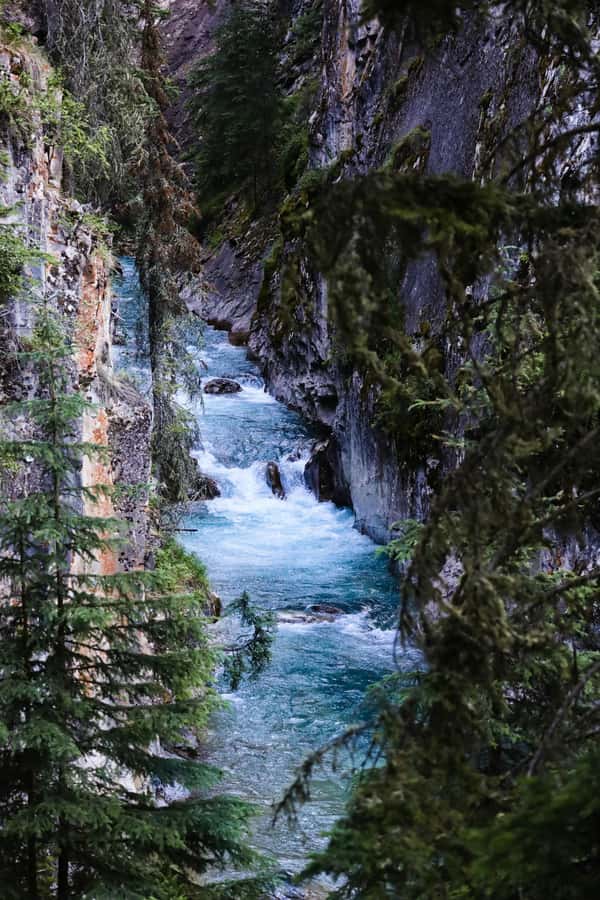 Lake Louise,Moraine,Emerald Lake,Johnston Canyon & BanffTour - Johnston Canyon Waterfalls: The Hike That Makes the Day Feel Worth It