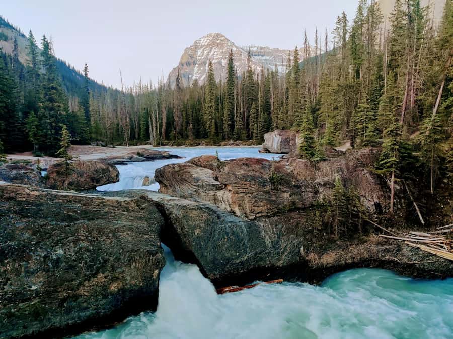 Lake Louise,Moraine,Emerald Lake,Johnston Canyon & BanffTour - Price and Value: What $60 Per Person Really Means