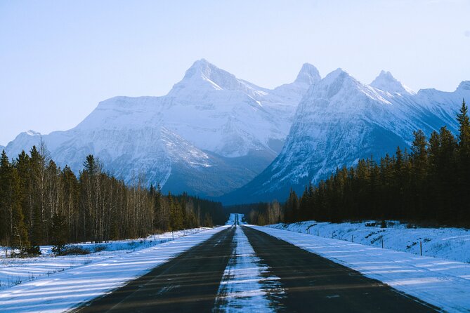 Lake Minnewanka, Peyto Lake, Bow Lake , Icefields - Lunch at Lake Louise Village: Fuel Up in 45 Minutes