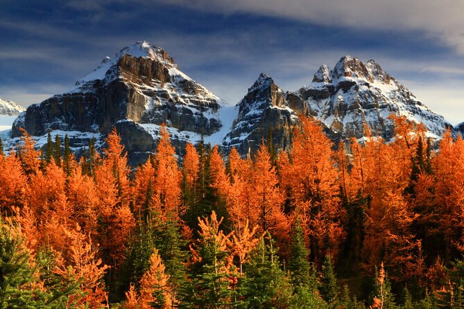 Larch Valley/Moraine Lake Shuttle Transfer from Banff and Canmore - Key Points That Matter for Your Moraine Lake Day