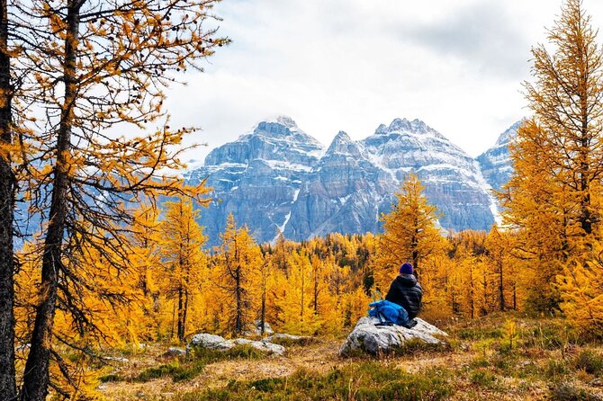 Larch Valley/Moraine Lake Shuttle Transfer from Banff and Canmore - Getting There: Banff Park Lodge 9:30 AM Pickup and the Van Ride