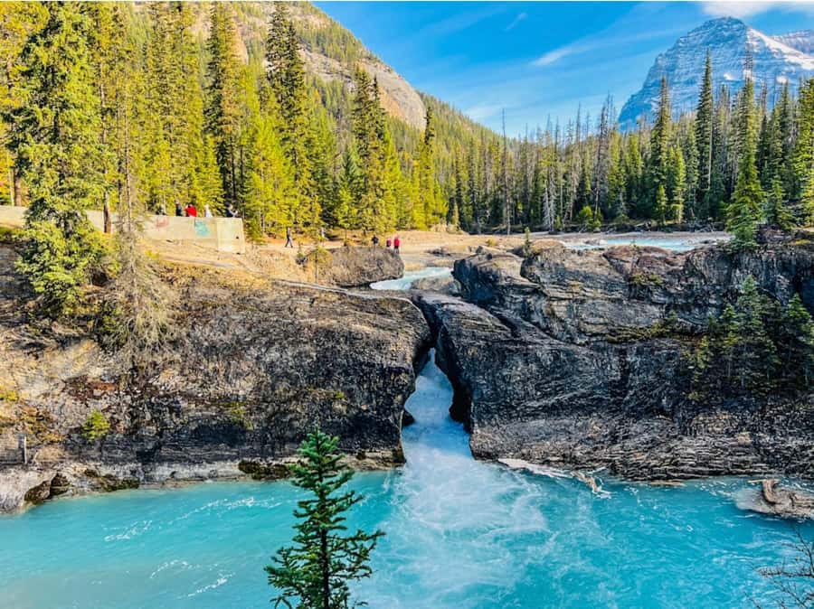 Louise, Moraine/Bow, Emerald, Peyto- 4 Lake Tour - Key highlights worth planning for