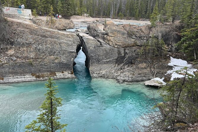 Moraine and Lake Louise with Yoho National Park Private Tour - The van, the guide, and how the day stays organized