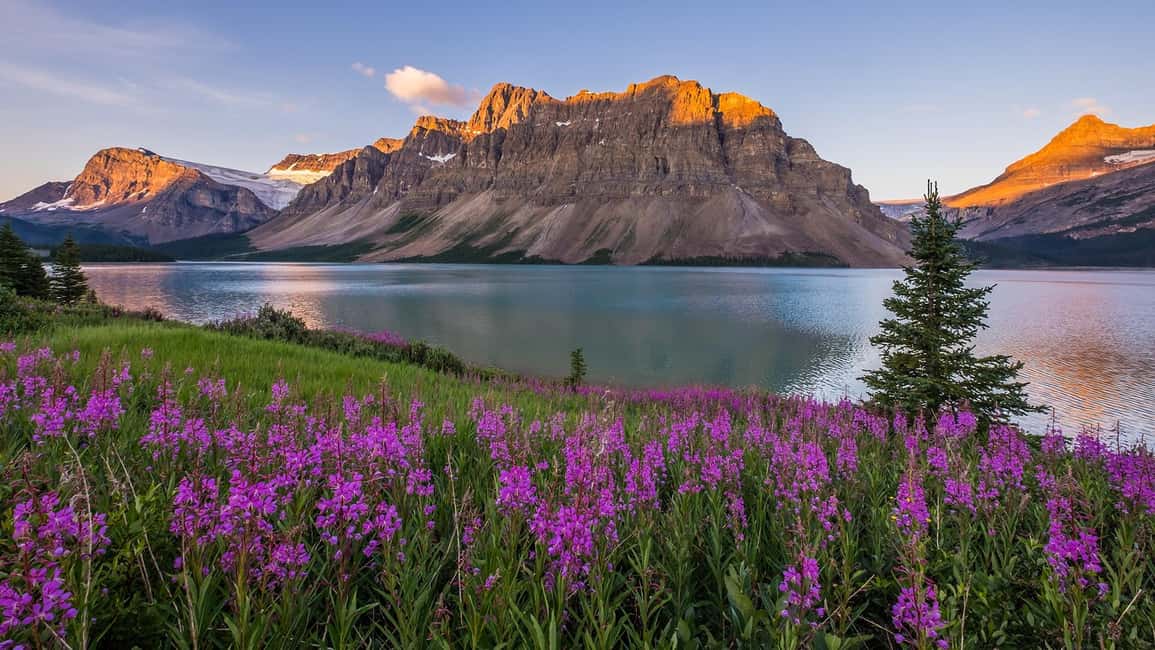 Moraine Lake and Iconic Sights of the Rockies Private Tour - Key points worth knowing before you go