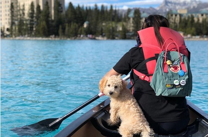 Moraine Lake and Lake Louise Shuttle | End of Summer Seat Sale! - Lake Louise shore time: 90 minutes for photos, calm, and light exploring