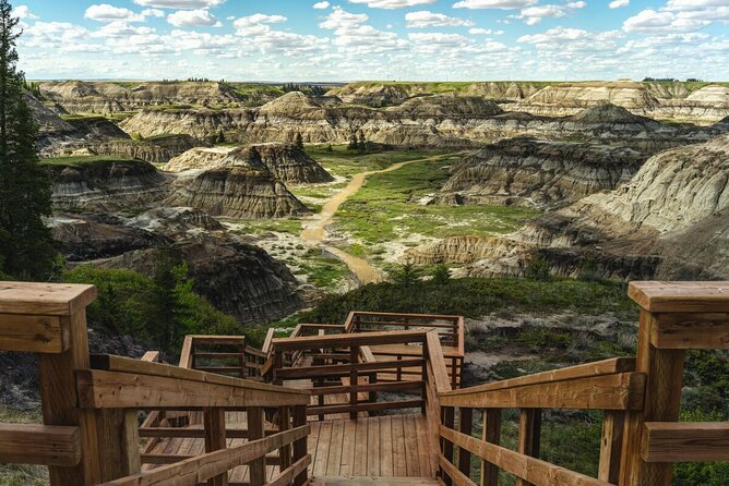 Private Badland Tour - Private Badlands day trip from Calgary: what you get and who it fits