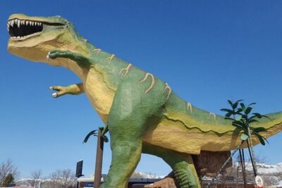 Private Badland Tour - Getting to the start: Calgary airport pickup and smooth day planning