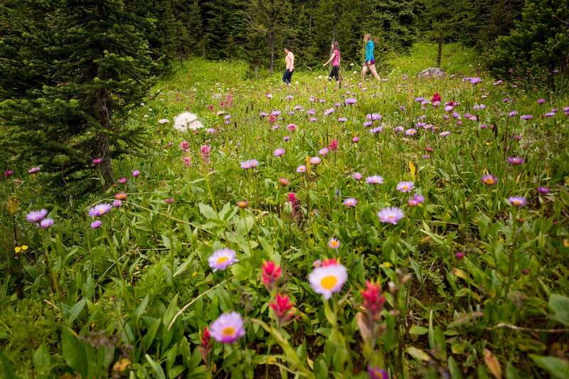 PRIVATE: Bear Country Hiking Tour - 4H Adventure - Safety in bear country: bear spray, first aid, and a calm guide