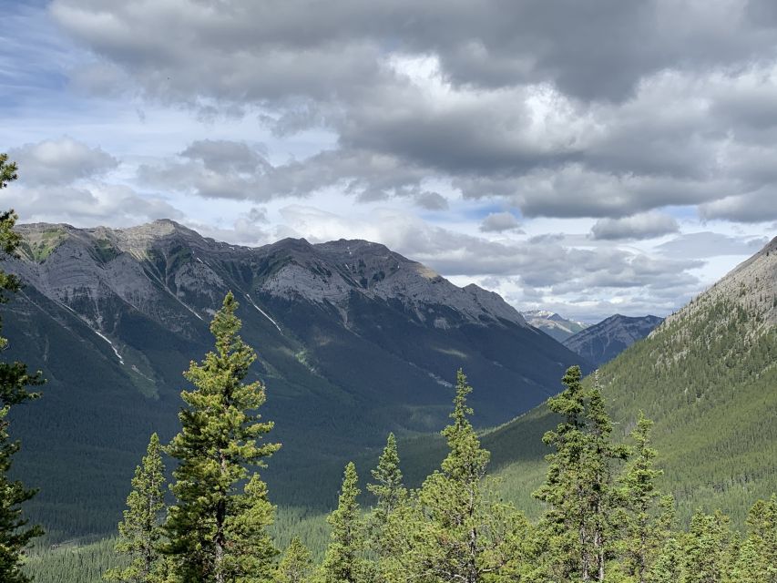 PRIVATE: Bear Country Hiking Tour - 4H Adventure - What to bring for a comfortable 4 hours outdoors