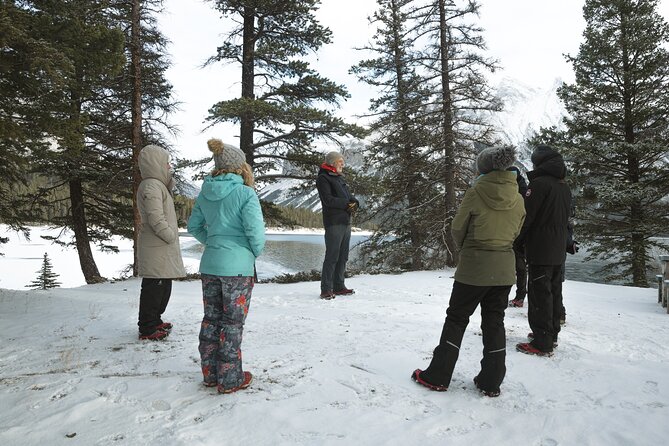 Private Forest Bathing Experience Connect with Nature - Price and value: $261.40 per person for a private wellness reset