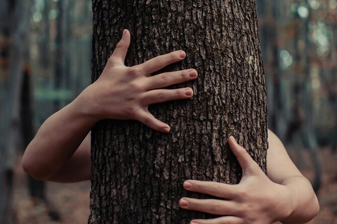 Private Forest Bathing Experience Connect with Nature - Who should book this private Shinrin-Yoku session