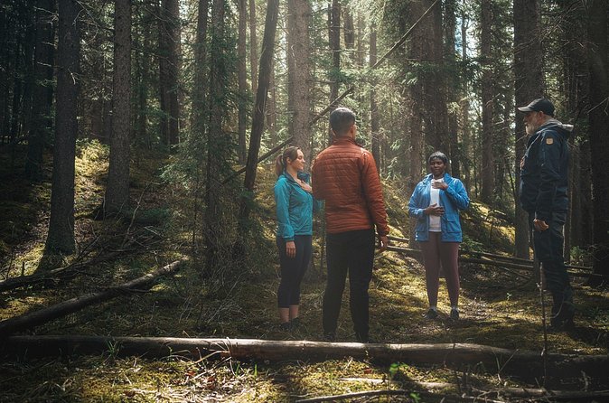 Private Forest Bathing Experience Connect with Nature - Pairing ideas: make the reset last