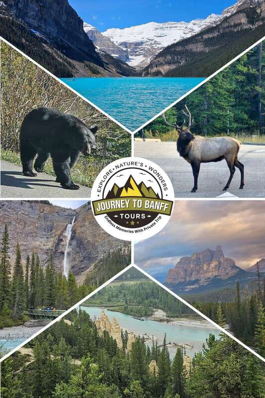 Private Tour Banff/Emerald Yoho Customized Sightseeing - Pickup and Drop-Off: Calgary, Canmore, or Banff Without the Headaches