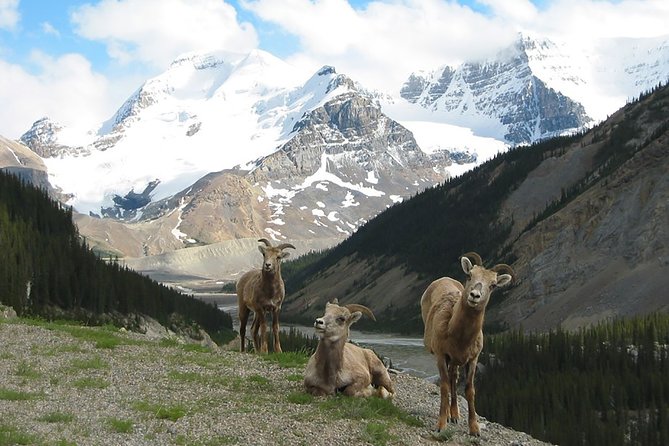 Private Tour: Majestic Mountains PHOTO SAFARI Drive - 4H - Key things that make this photo safari worth your time