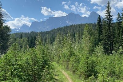 Private Tour: Majestic Mountains PHOTO SAFARI Drive - 4H - Kananaskis Country: what you’re really doing out there