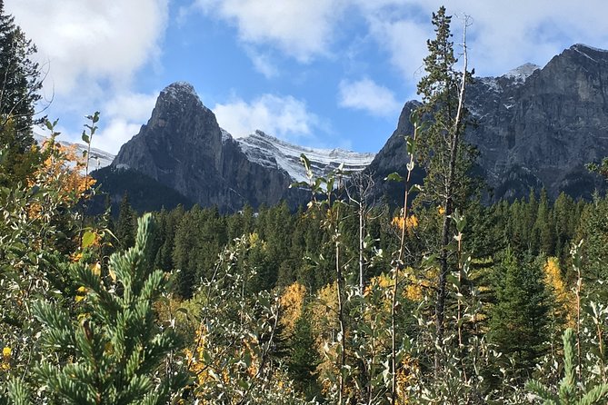 Private Tour: Majestic Mountains PHOTO SAFARI Drive - 4H - Winter walking support: poles on request, ice cleats when required