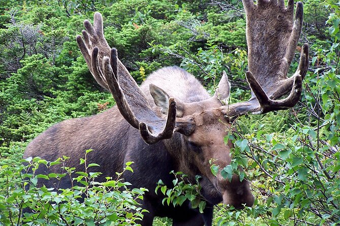 Private Tour: Majestic Mountains PHOTO SAFARI Drive - 4H - Duration and pacing: how 4 hours usually feels in the mountains