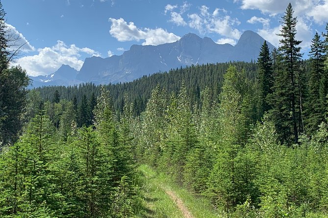 Private Tour: Majestic Mountains PHOTO SAFARI Drive - 4H - Kananaskis Country: what you’re really doing out there