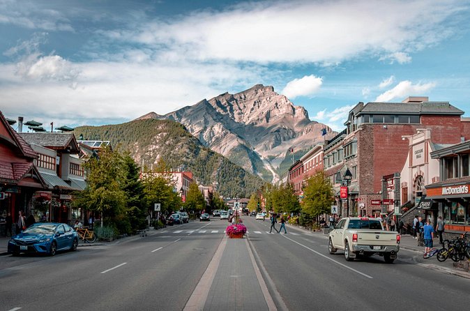 Private Transfer to Banff from Calgary or Airport - Accessibility and Animals: Small Notes That Matter