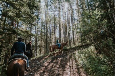 Ridge Ride 2-Hour Horseback Trail Ride in Kananaskis - From ridge to wetland: the trail flow you should picture