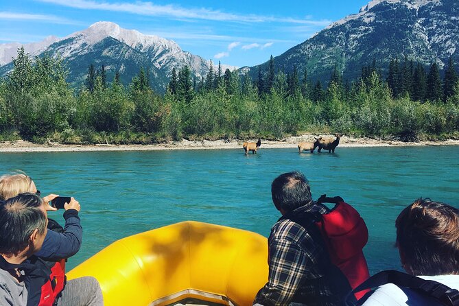 Rocky mountain - VIP Experience - Private Boat - Getting to the water: Canmore Public Boat Launch and the simple start