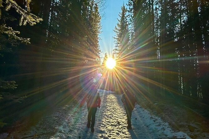 The Ultimate Calgary Experience: Music, Culture & Hidden Nature - Who should book this Calgary experience