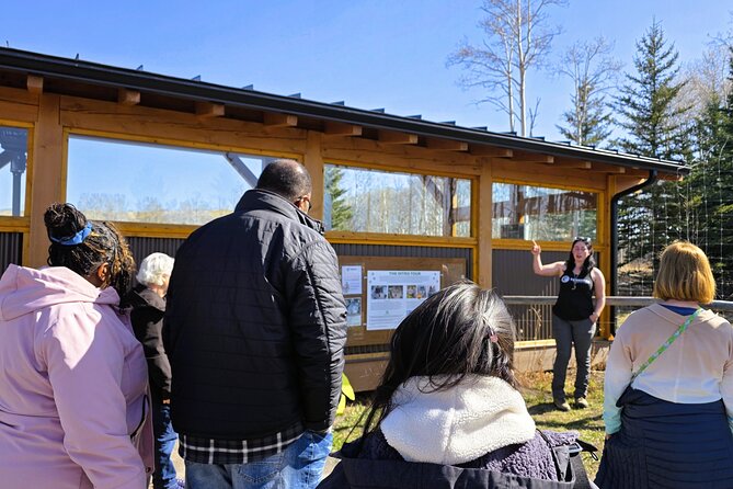 Transfer to Canmore & Banff: Yamnuska Wolfdog Sanctuary Tour - What’s included, and what you’ll likely spend extra on