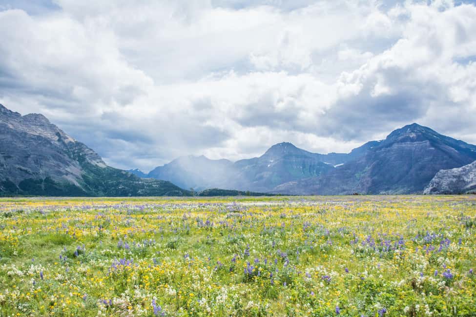 Waterton National Park: Lakes & Mountains Day Tour - Should You Book This Tour?