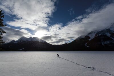 Wilderness and Wildlife Hiking Tour - 3hr Hike - Quiet trails and wildlife-smart routing (what you’ll actually do)