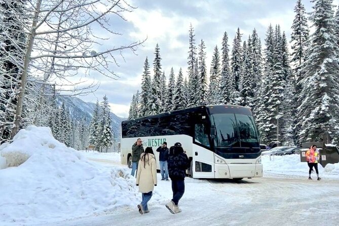 Winter Trip: Lake Louise, Marble Canyon, Emerald Lake, Banff - Emerald Lake: Wooden Bridge Photos and Quiet Winter Time
