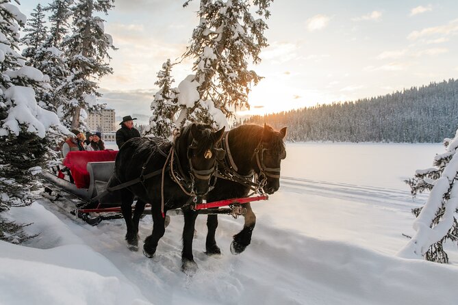 Winter Trip: Lake Louise, Marble Canyon, Emerald Lake, Banff - Lake Louise Village Grill & Bar Lunch: Plan for Extra Spend