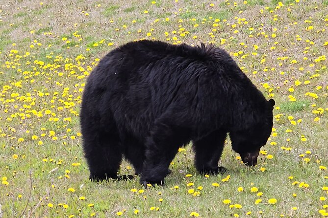 Xclusive Wonders of Waterton Your Private Journey of Nature’sBest - Red Rock Canyon: the first photo stop gets you warmed up